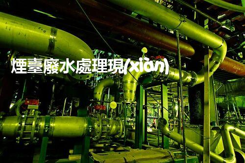 煙臺廢水處理現(xiàn)狀調(diào)查與未來發(fā)展方向探索？
